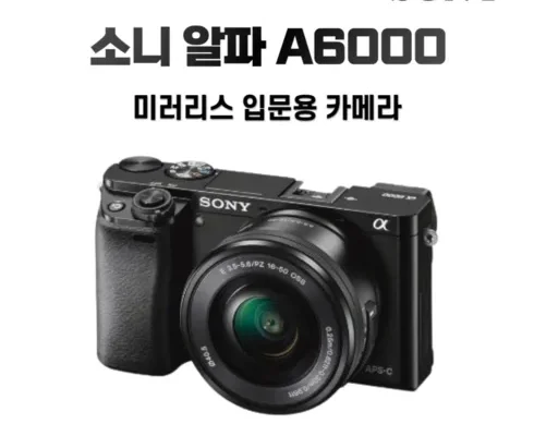 쿠팡 최저가 소니a6000 순위별