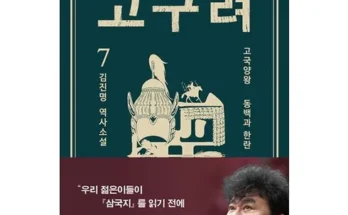 갑성비아이템 베스트8 김진명고구려 제품후기